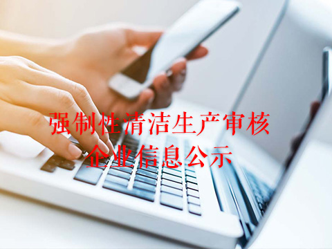 青島勝代機械有限公司強制性清潔生產審核企業信息公示